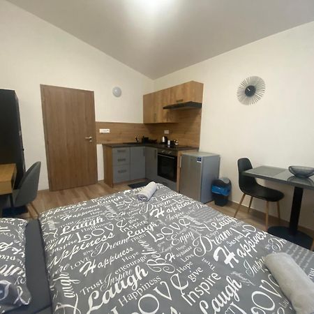 Cerna Ruze - Apartman 7 Пльзень Экстерьер фото