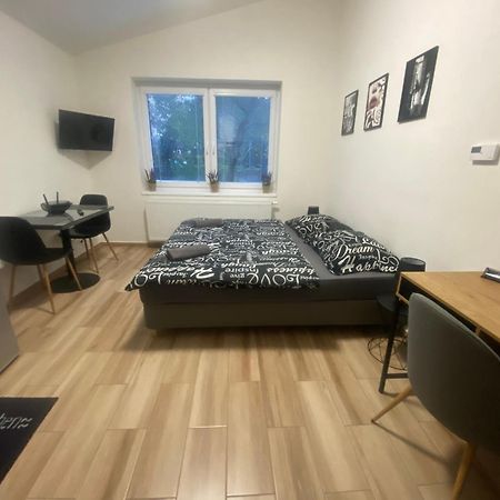 Cerna Ruze - Apartman 7 Пльзень Экстерьер фото