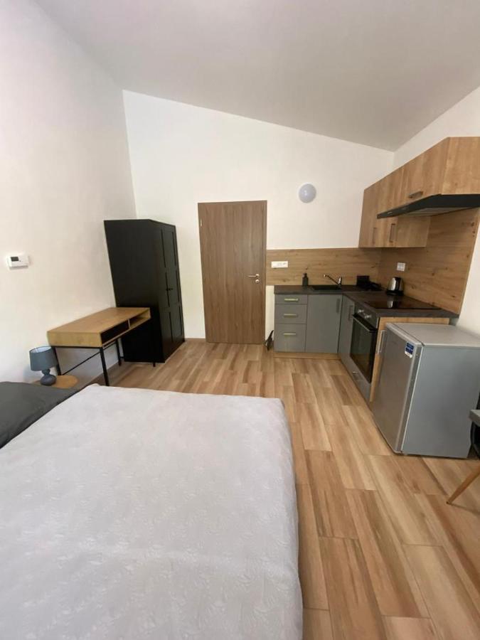 Cerna Ruze - Apartman 7 Пльзень Экстерьер фото