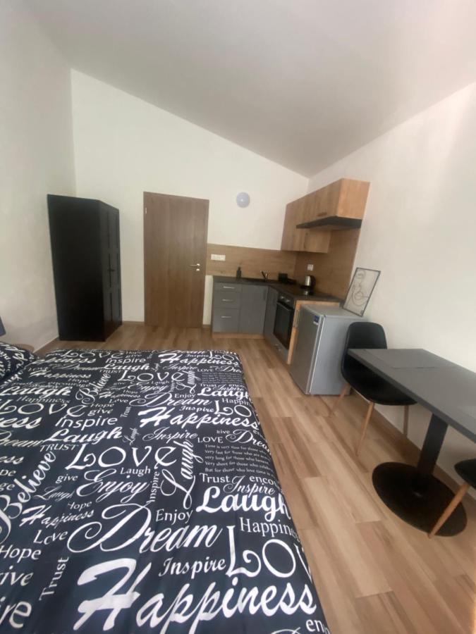 Cerna Ruze - Apartman 7 Пльзень Экстерьер фото
