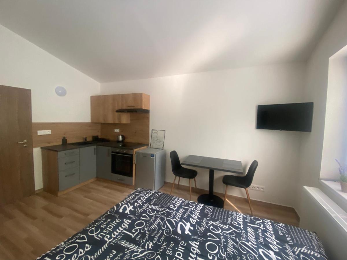 Cerna Ruze - Apartman 7 Пльзень Экстерьер фото