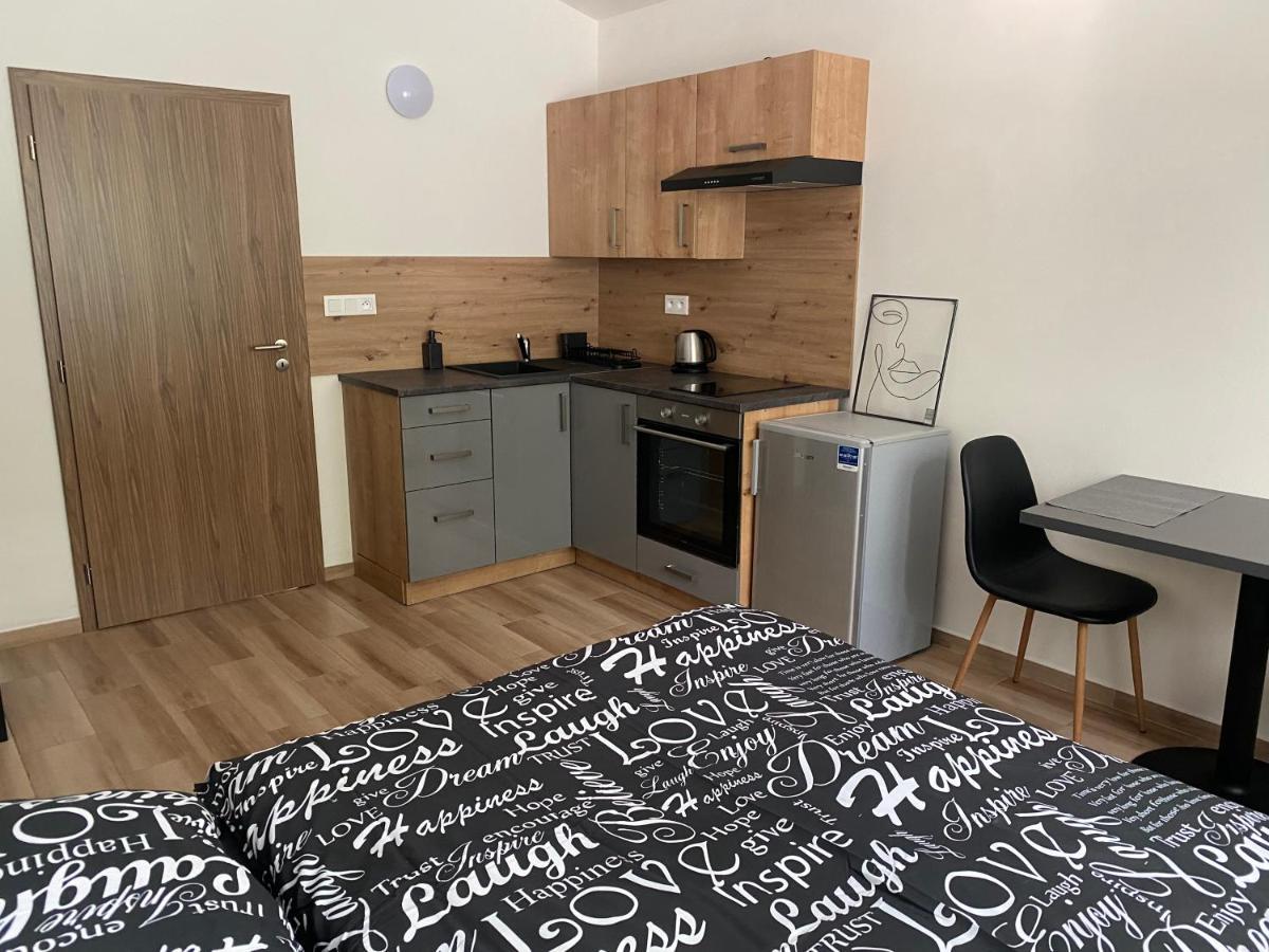Cerna Ruze - Apartman 7 Пльзень Экстерьер фото