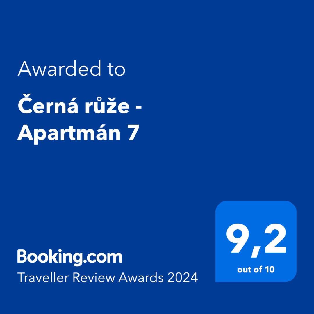 Cerna Ruze - Apartman 7 Пльзень Экстерьер фото